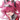 Lupa